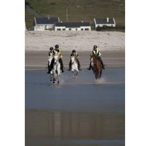 calveys equestrian centre achill island